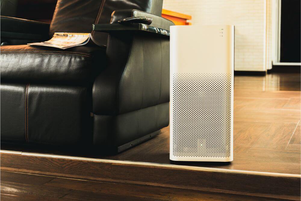 What Size Dehumidifier Do I Need?